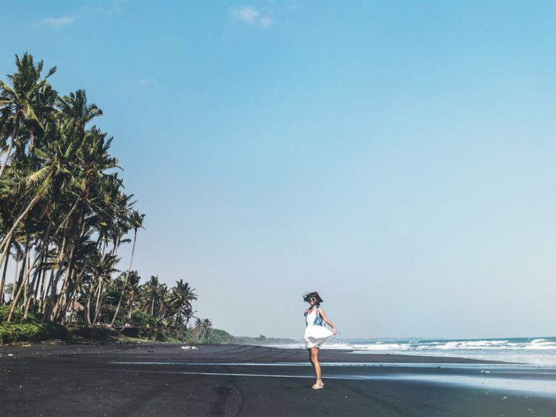 Black-sand beach with palms at low tide